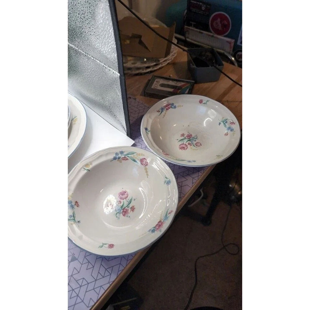 Tienshan Stoneware Floral Dinnerware Set